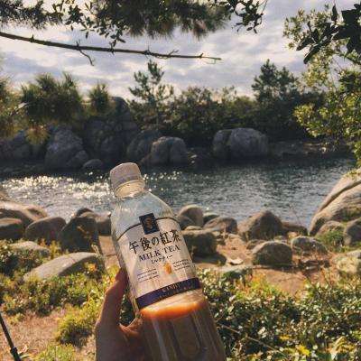 kaiyun电竞入口app下载